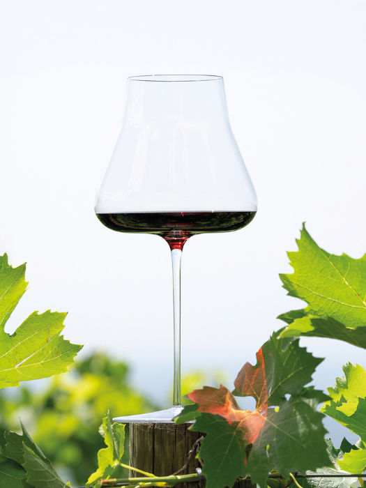 Verre à vin rouge T-Made 76 AV Leggerissimi  Soufflé Bouche- Italesse