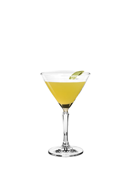 Verre Cocktail Martini 7,5 oz